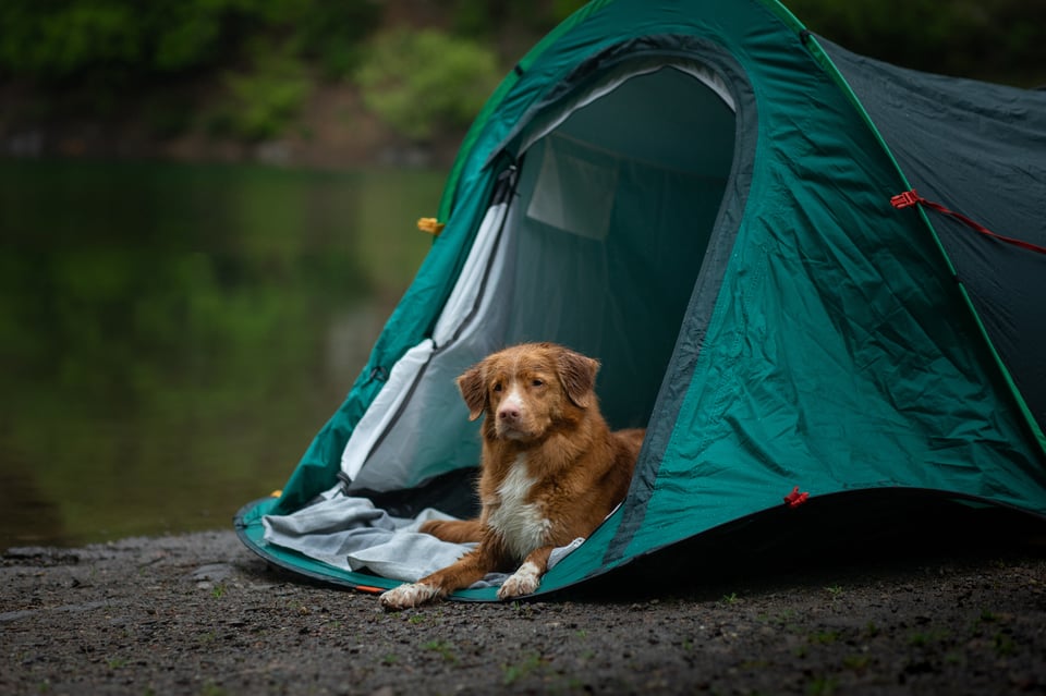 AdobeStock_292225520