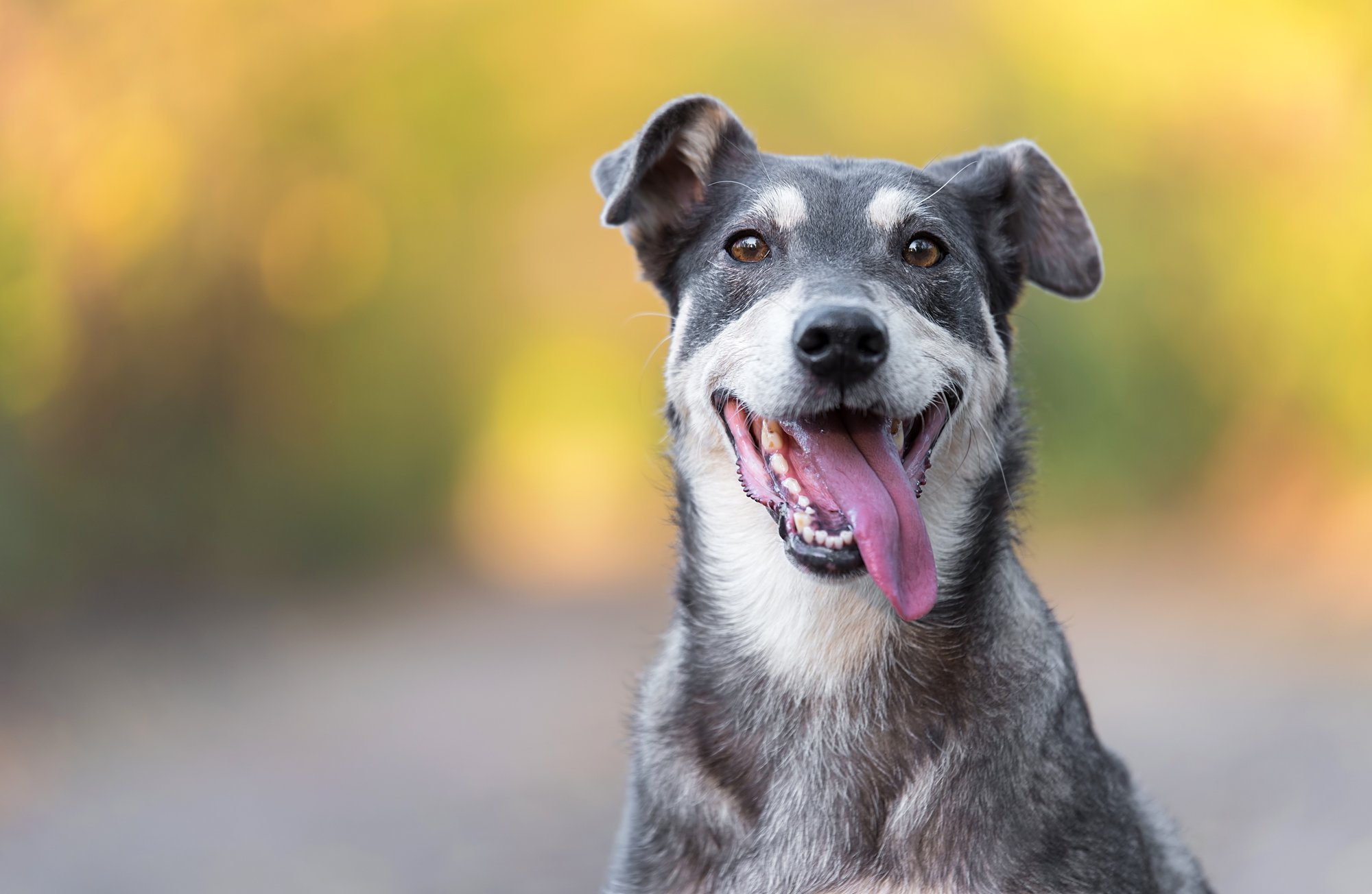 AdobeStock_296584307