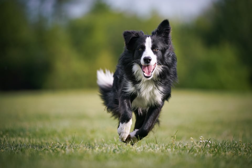 AdobeStock_352046857