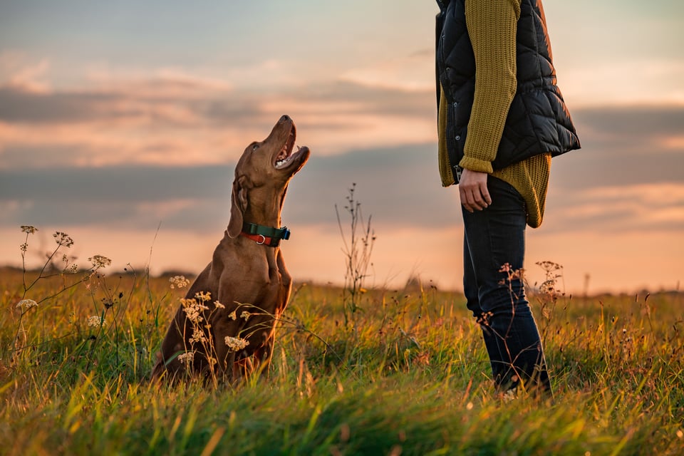 AdobeStock_462147927